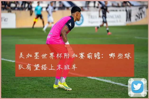 美加墨世界杯附加赛前瞻:哪些球队有望搭上末班车